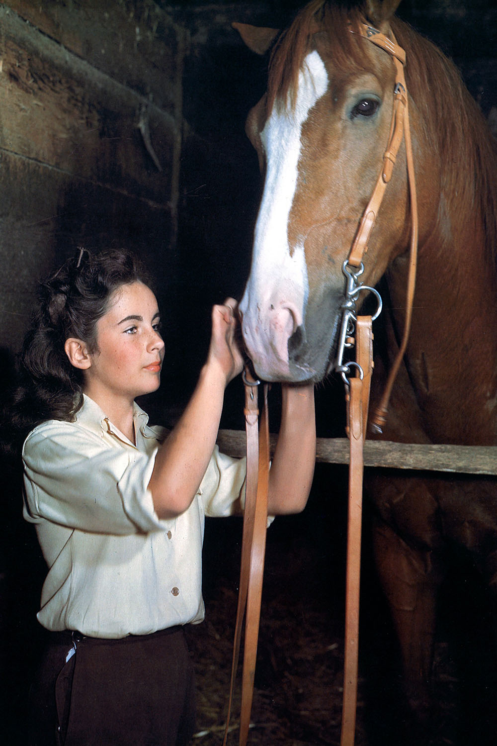 National Velvet